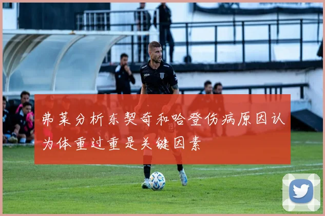 弗莱分析东契奇和哈登伤病原因认为体重过重是关键因素